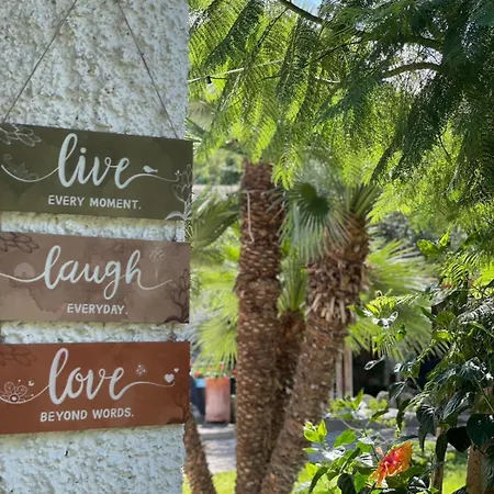 Garden Apartments Ischia Super Centrale Forio  Exterior photo