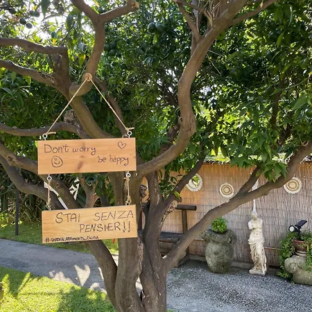 Garden Apartments Ischia Super Centrale Forio  Exterior photo
