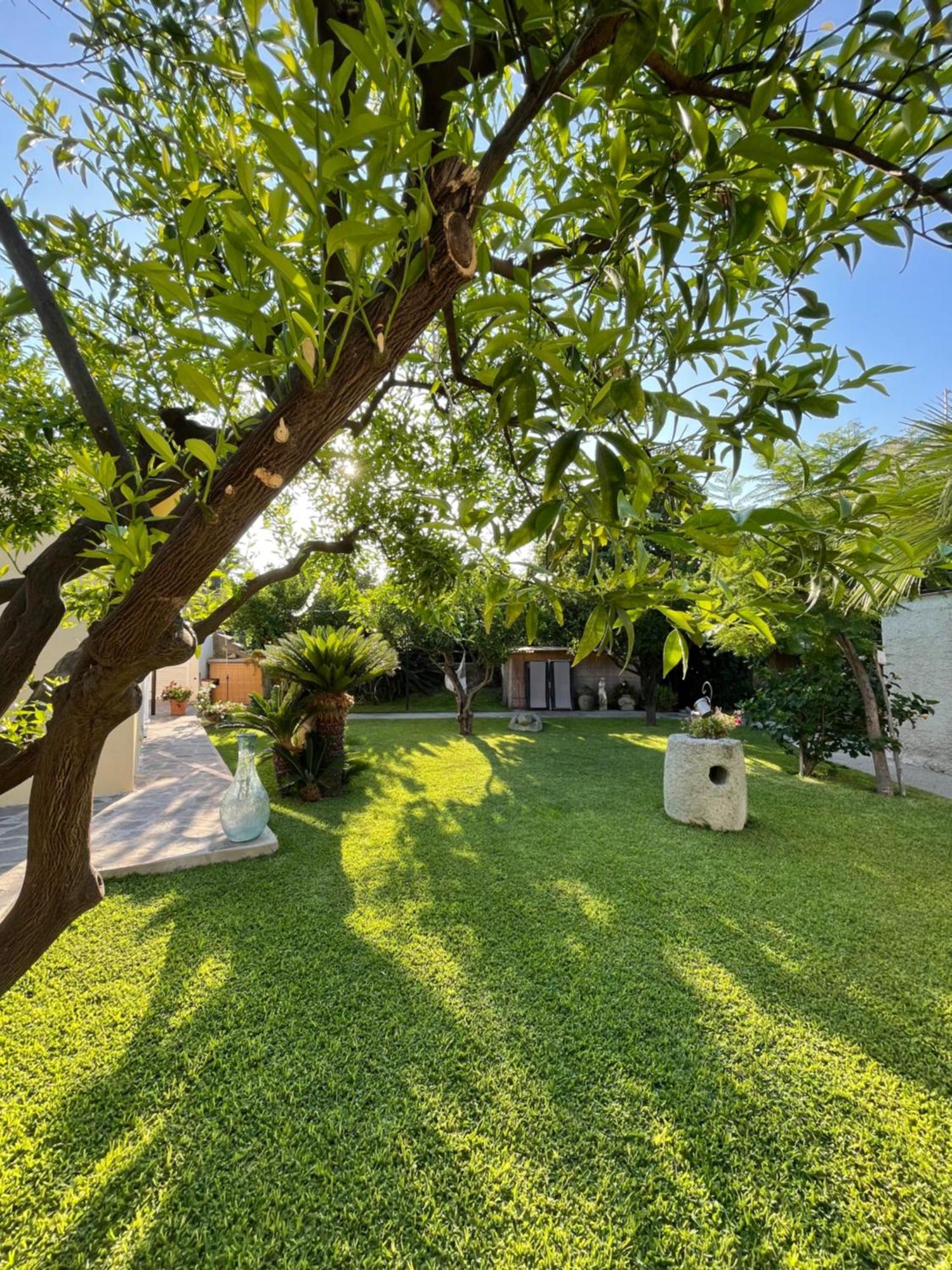 Apartment Garden Ischia Super Forio (Isola d'Ischia)