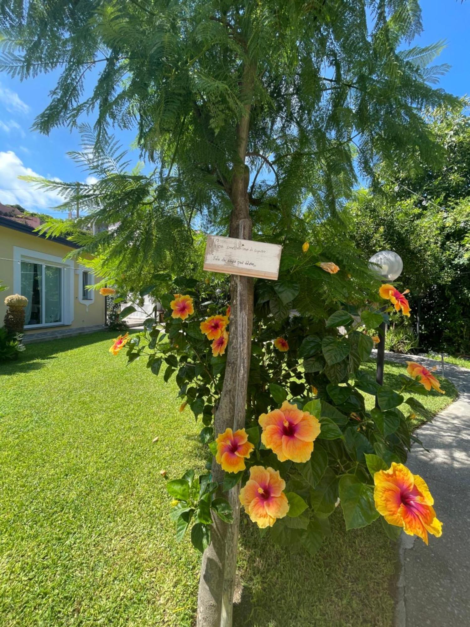 Apartment Garden Ischia Super *